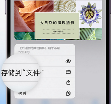 灵寿apple维修中心分享iPhone文件应用中存储和找到下载文件