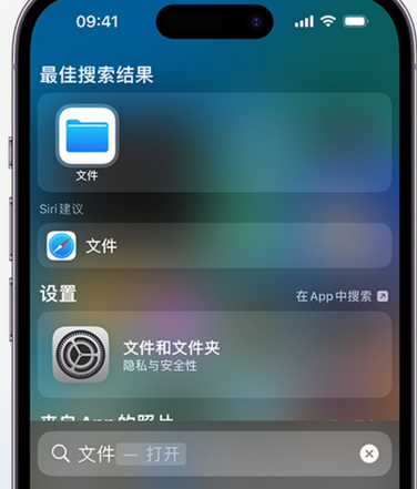 灵寿apple维修中心分享iPhone文件应用中存储和找到下载文件