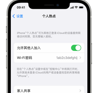 灵寿apple服务站点分享iPhone上个人热点丢失了怎么办