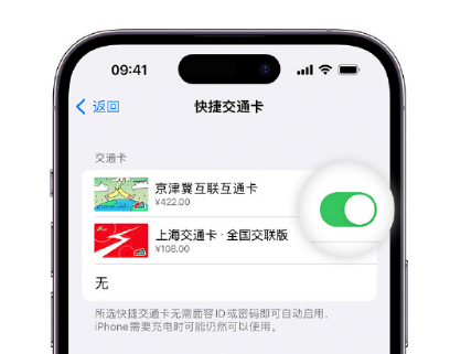 灵寿apple维修点分享iPhone上更换Apple Pay快捷交通卡手绘卡面 