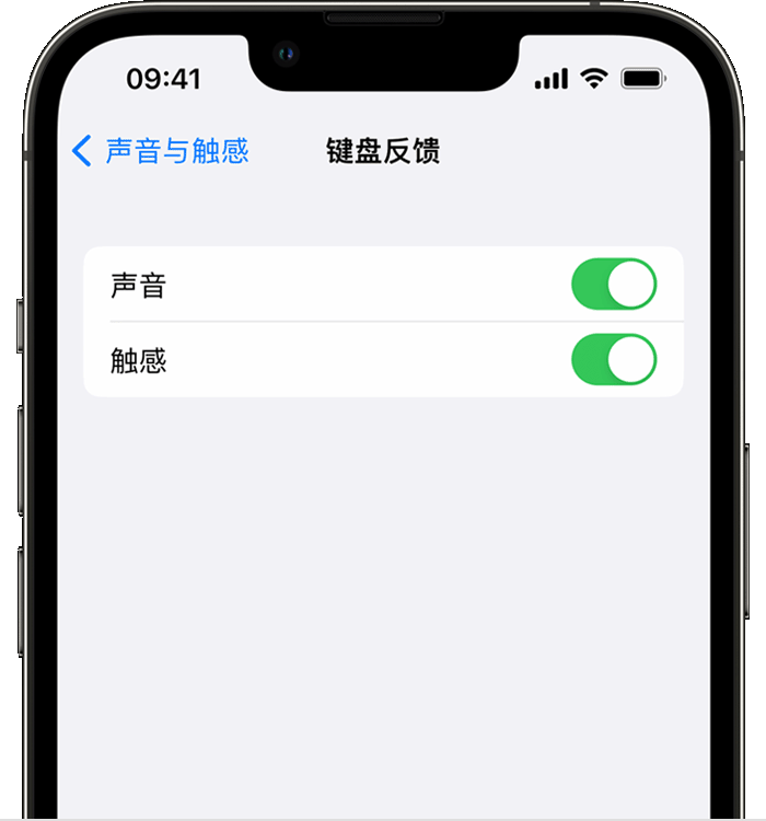 灵寿苹果14维修店分享如何在 iPhone 14 机型中使用触感键盘 