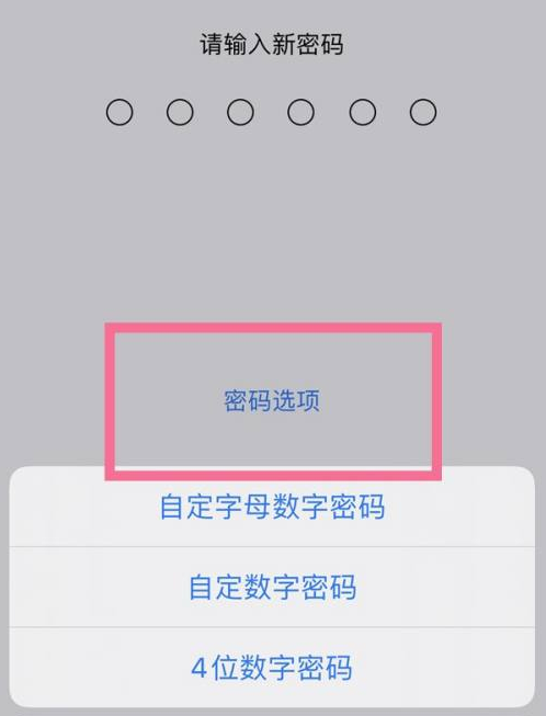 灵寿苹果14维修分享iPhone 14plus设置密码的方法 