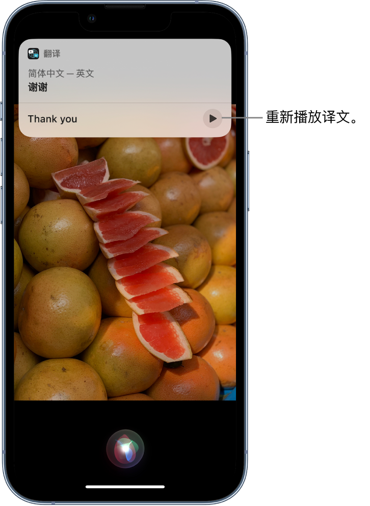 灵寿苹果14维修分享 iPhone 14 机型中使用 Siri：了解 Siri 能帮你做什么 