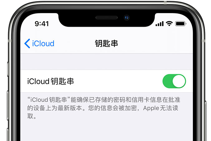 灵寿苹果手机维修分享在 iPhone 上开启 iCloud 钥匙串之后会储存哪些信息 