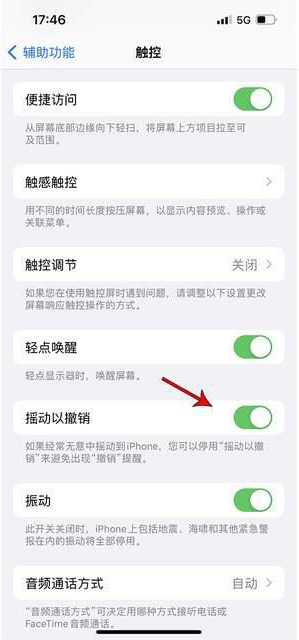 灵寿苹果手机维修分享iPhone手机如何设置摇一摇删除文字 