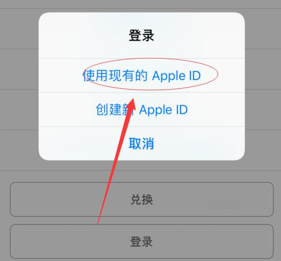 灵寿苹果手机维修分享两台iPhone设备可以同时登录一个Apple ID吗 