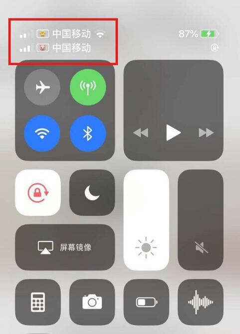 灵寿苹果手机维修分享为 iPhone 12 双卡设置标签 