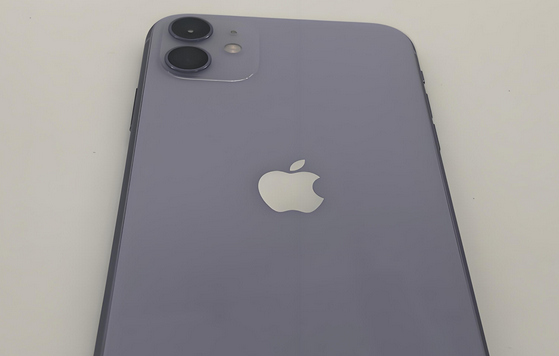 灵寿苹果11系统维修分享iPhone11手机系统崩溃无法开机如何解决